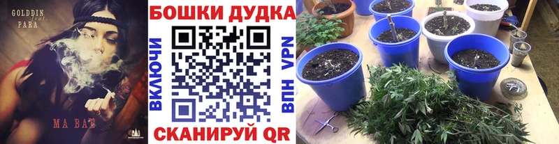 Канабис THC 21%  Полтавская 